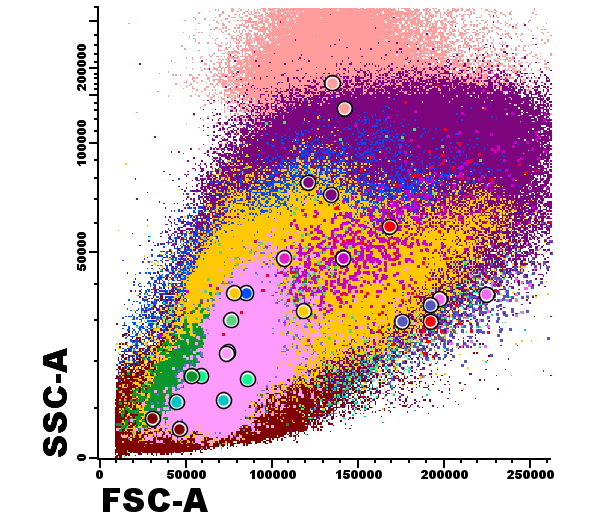 EuroFlow™ Databases – Cytognos, S.L.